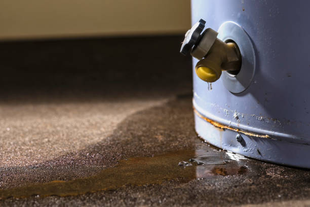 Best Flood restoration services  in Dillon, MT