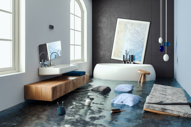 Best 24/7 water damage repair  in Dillon, MT