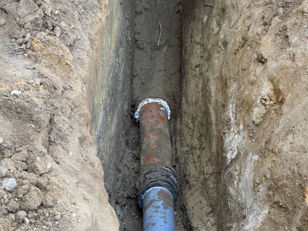 Best Flood damage cleanup  in Dillon, MT