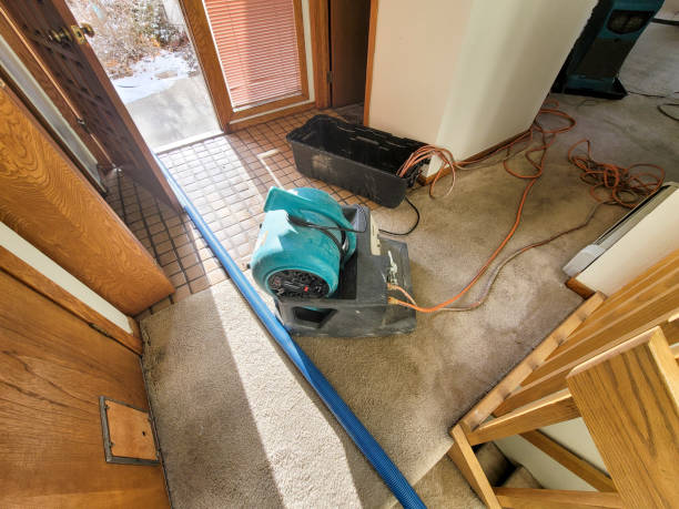 Trusted Dillon, MT Water damage restoration Experts