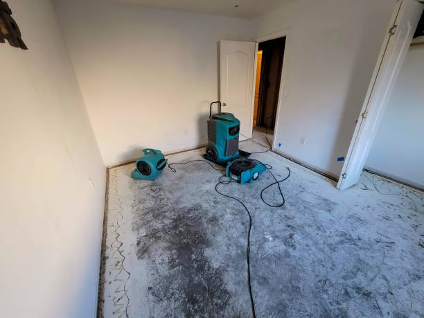 Best Commercial water damage restoration  in Dillon, MT