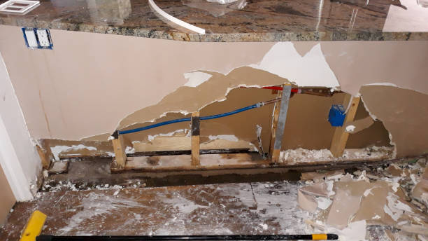 Best Water damage contractors near me  in Dillon, MT