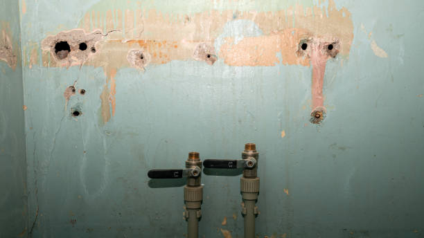 Professional Water damage restoration in Dillon, MT